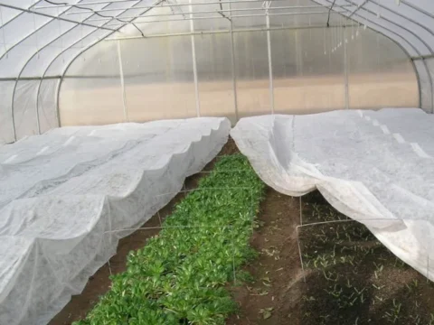 don-kiragi-ortusu-19gr-beyaz-kapak