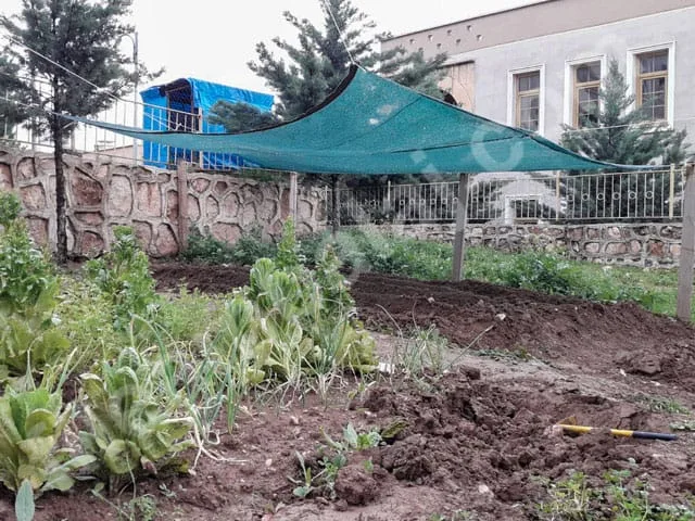 golgelik-file-75lik-yesil-seritli-15