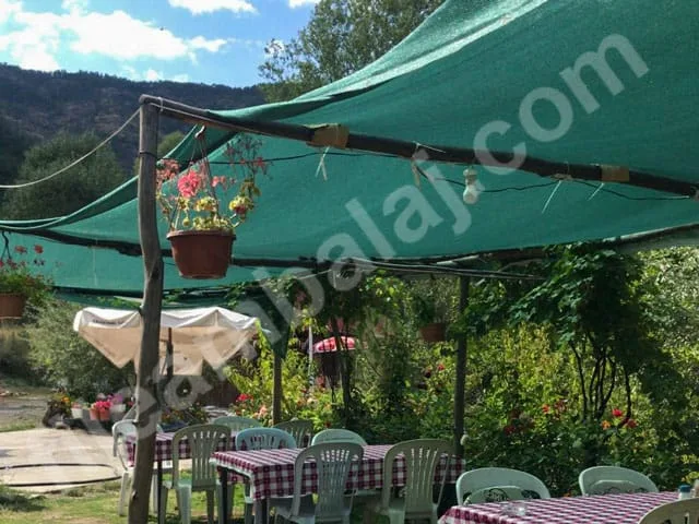 golgelik-file-75lik-yesil-seritli-16