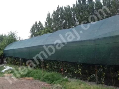 sera-golgeleme-tulu-95lik-yesil-duz-kapak