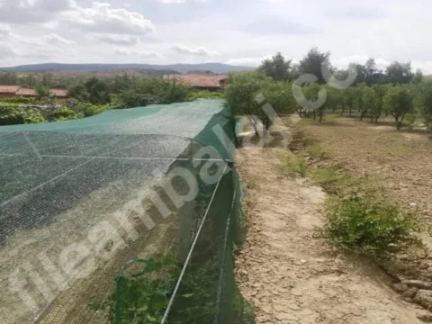 sera-golgelik-40lik-yesil-seritli-kapak