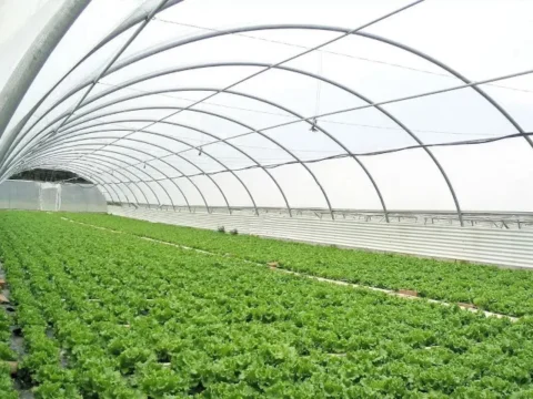 sera-naylonu-12-aylik-300-mikron-kapak