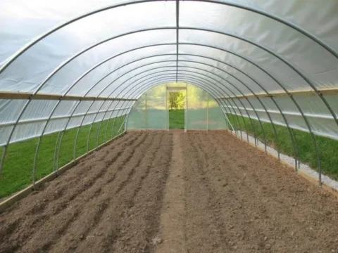 sera-naylonu-24-aylik-350-mikron-kapak