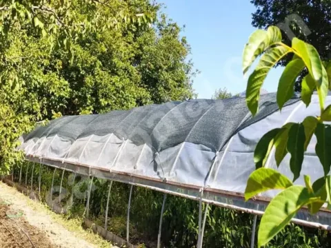 sera-ustu-golgelik-40lik-yesil-duz-kapak