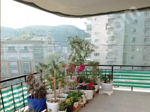 teras-filesi-40lık-yesil-seritli-kapak