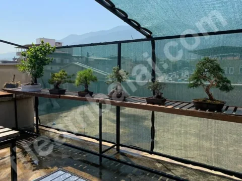 teras-golgelik-75lik-yesil-seritli-kapak