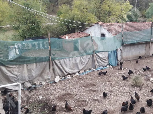 yesil-cit-filesi-40lik-duz-10