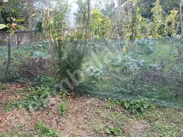 yesil-cit-filesi-40lik-duz-11