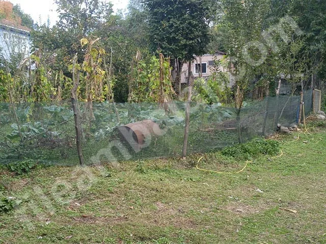 yesil-cit-filesi-40lik-duz-3