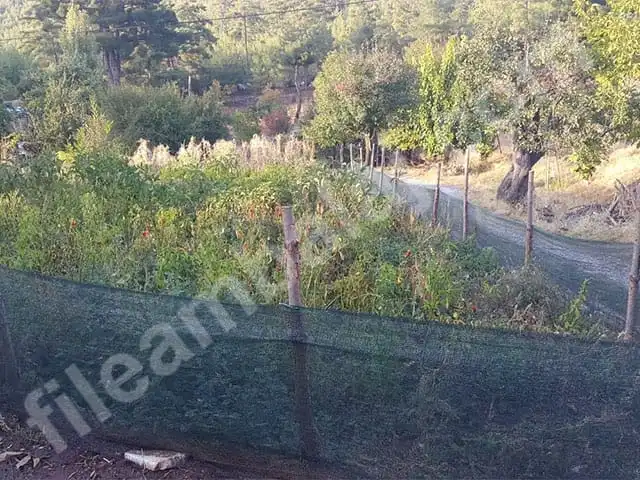 yesil-cit-filesi-40lik-duz-5