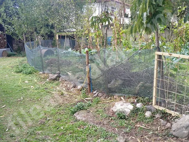 yesil-cit-filesi-40lik-duz-7