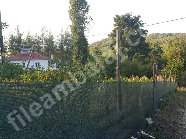 yesil-cit-filesi-40lik-duz-8